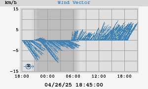 Wind Vector