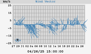 Wind Vector