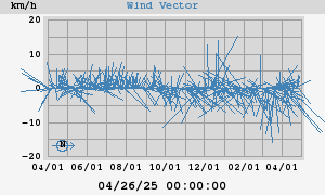 Wind Vector